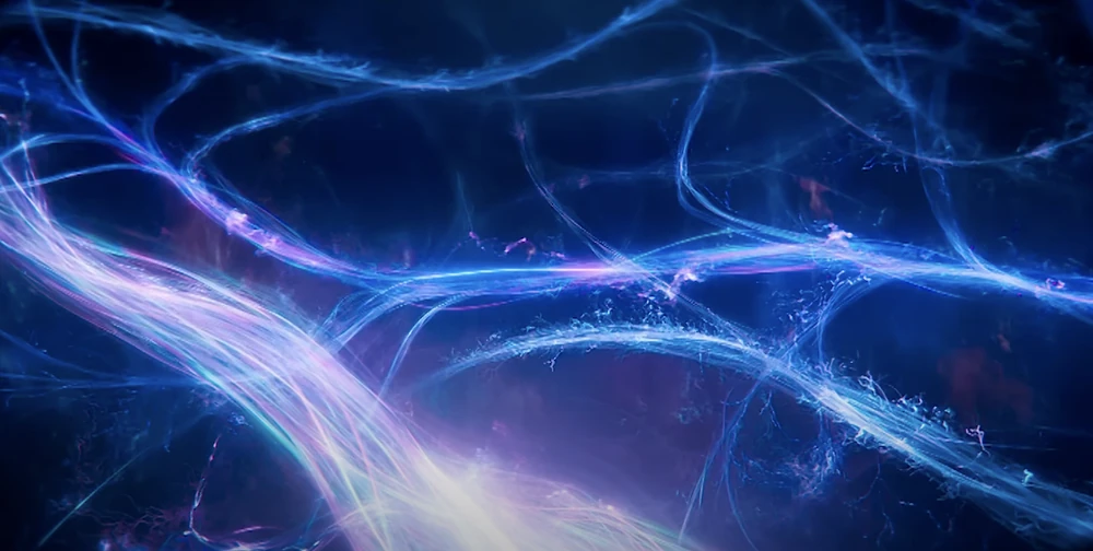 MULTIVERSE OF IDEAS